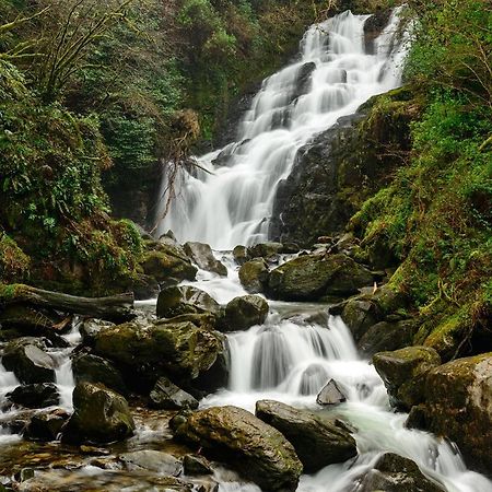 Haven Suites - Killarney Self Catering Exteriör bild